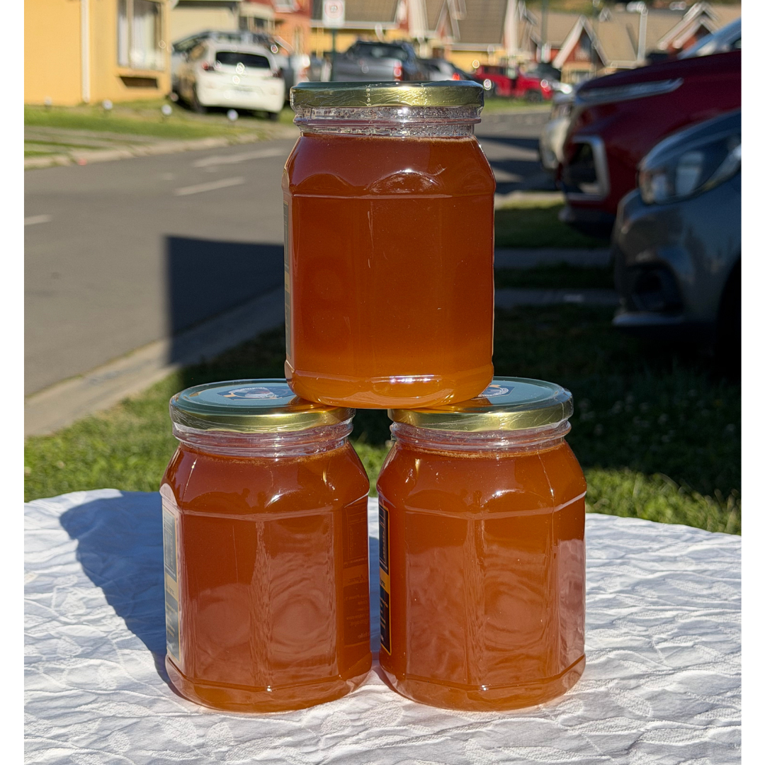 Miel Pura de Abeja