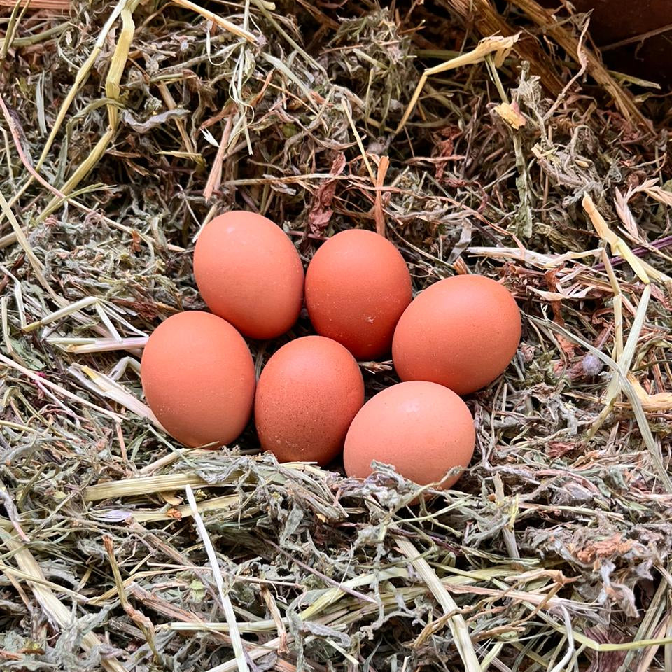 Huevos de Gallina libre