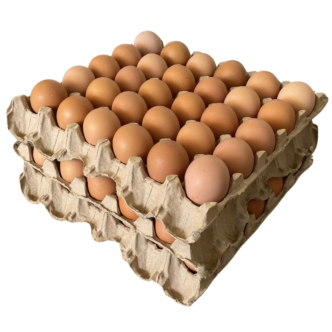 Huevos de Gallina libre