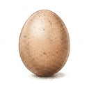 HUEVOS DE GALLINA LIBRE