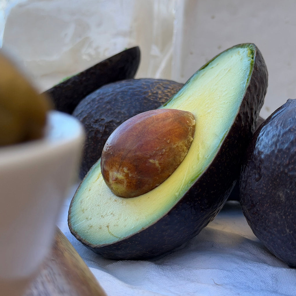Palta hass Chilena
