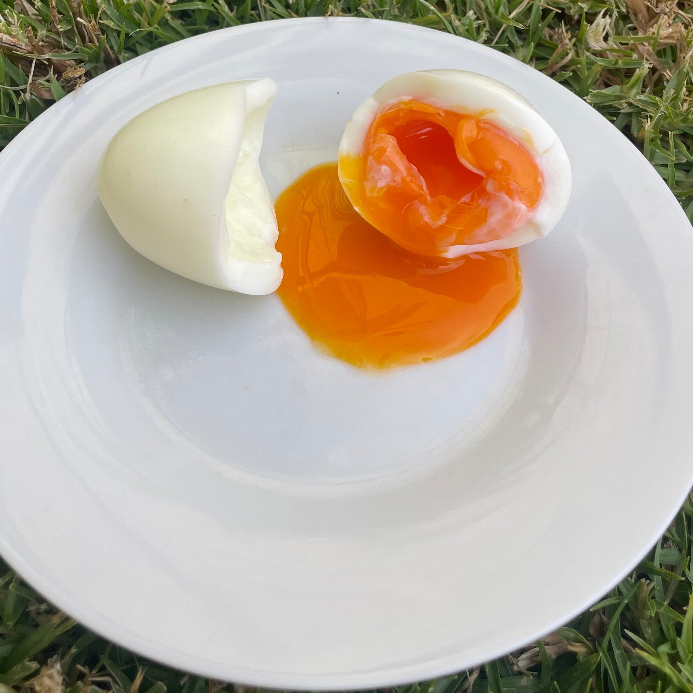 Huevos de Gallina libre