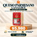 Queso Parmesano - Lanalhue - 300 g