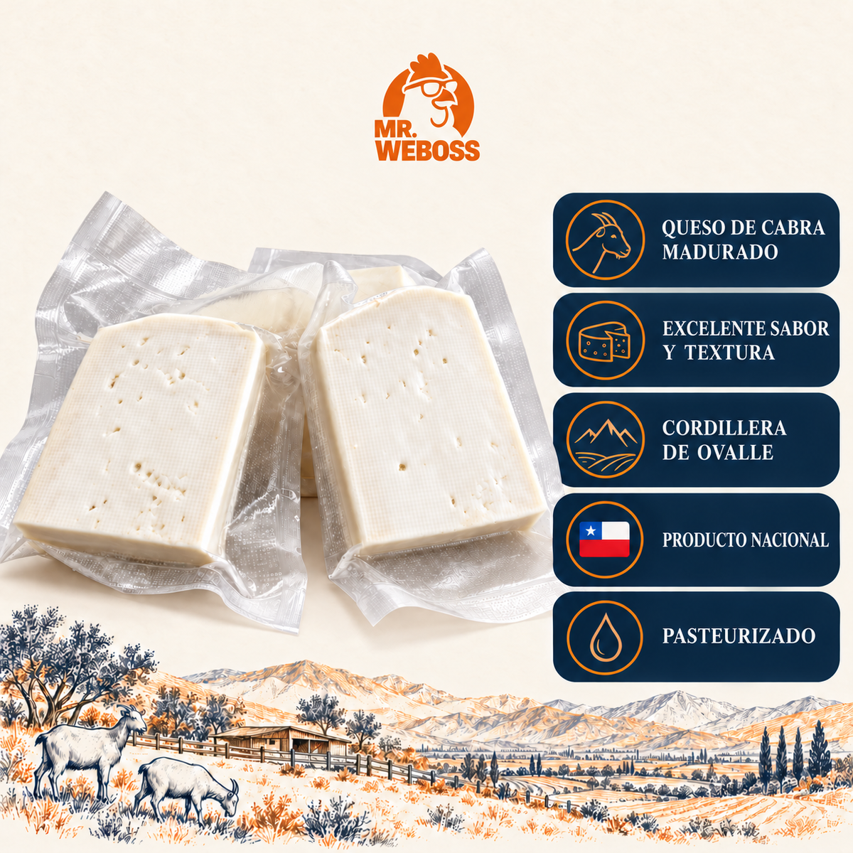 Queso de cabra Artesanal de Ovalle