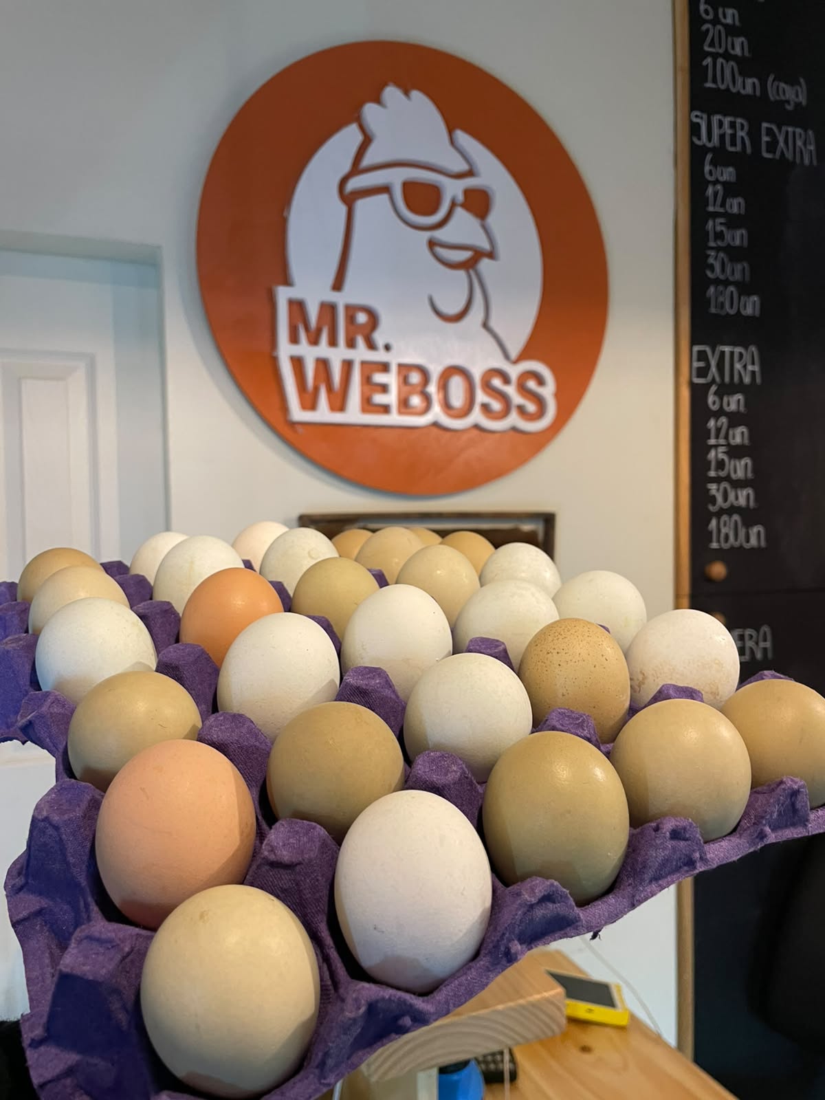 Huevos de Gallina Kollonca / Mapuche