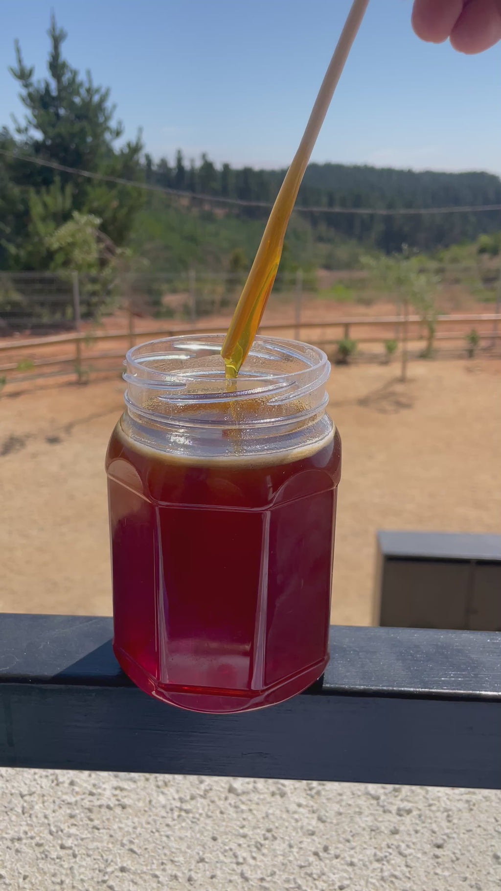 Miel pura de Abejas multifloral